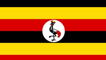 Shekede202 from uganda